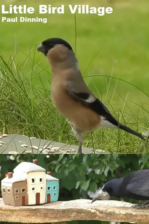 Little Bird Village official trailer poster