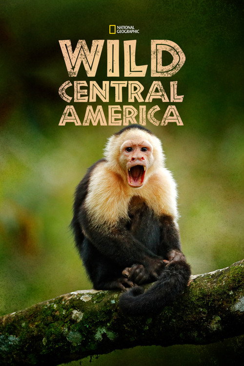 Wild Central America official trailer poster