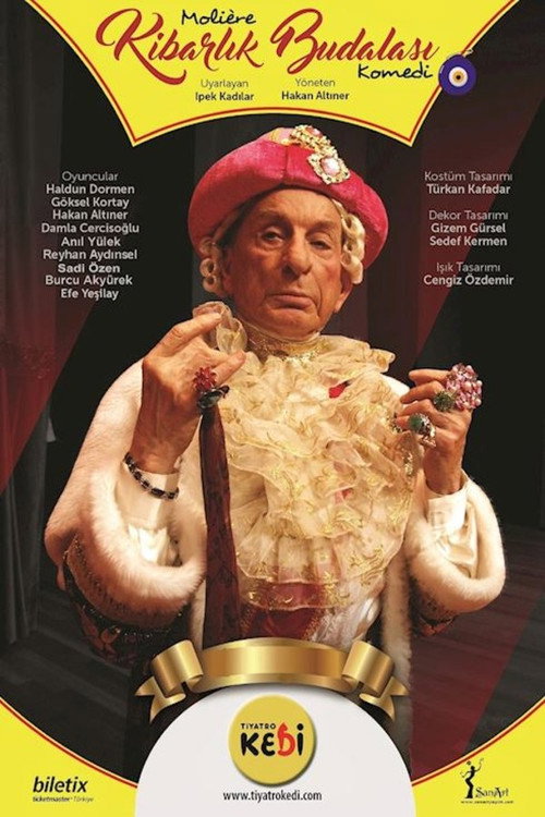 Kibarlık Budalası official trailer poster
