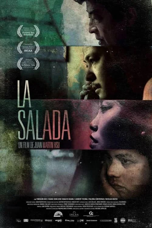 La Salada official trailer poster