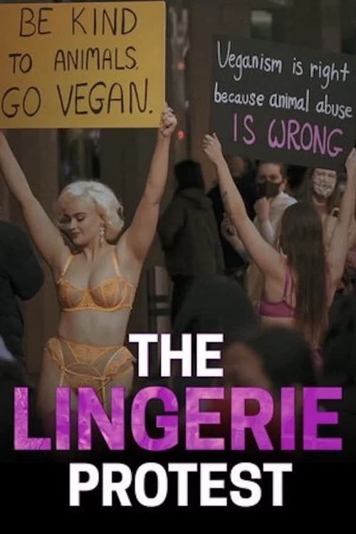 The Lingerie Protest official trailer poster