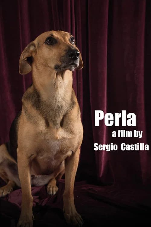Perla official trailer poster