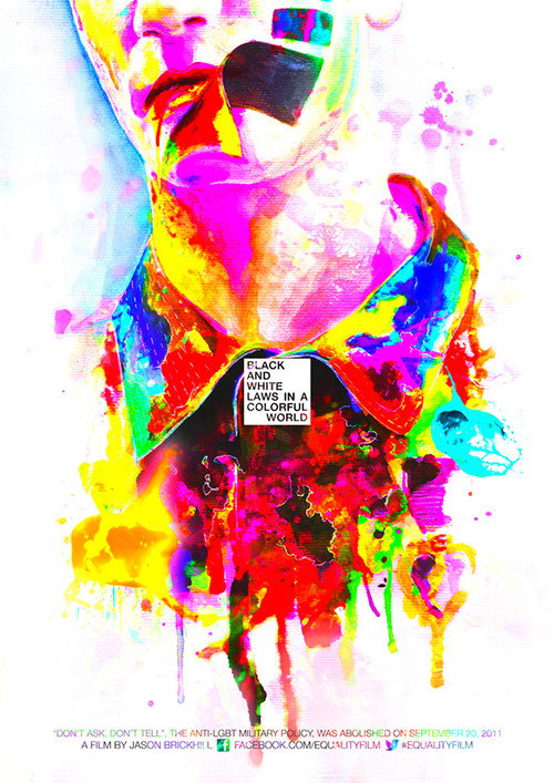 Black and White Laws in a Colorful World official trailer poster