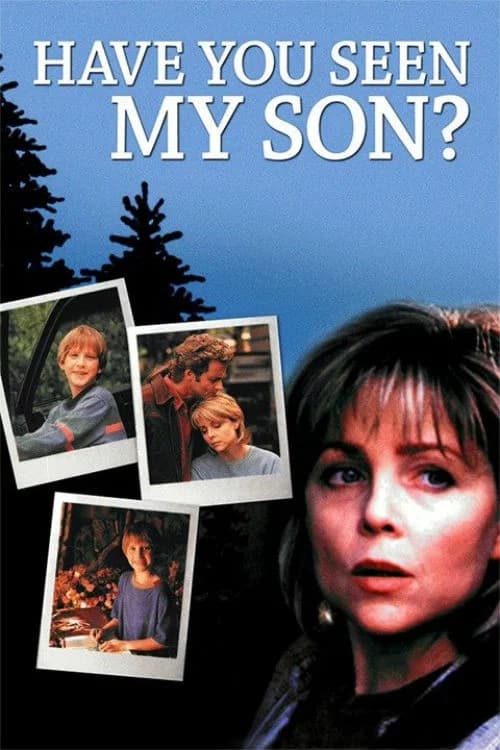 Have You Seen My Son official trailer poster