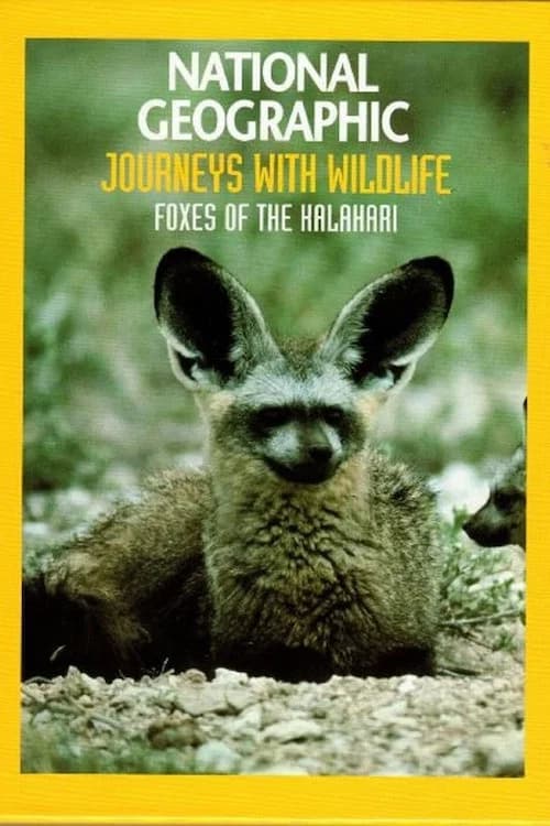 Foxes of the Kalahari official trailer poster