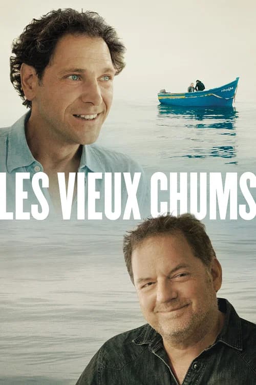 Old Buddies official trailer poster