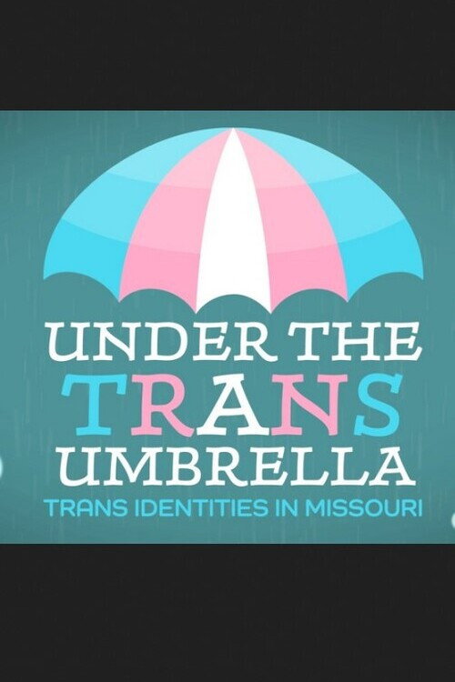 Under the Trans Umbrella: Trans Identities in Missouri official trailer poster