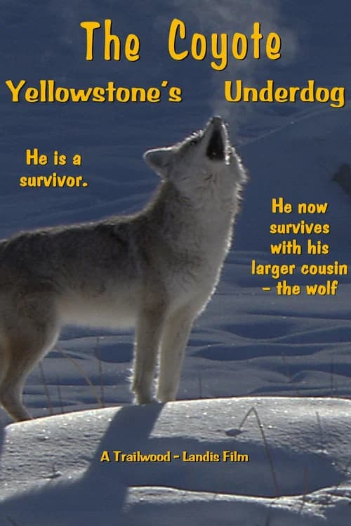 The Coyote: Yellowstone's Underdog official trailer poster