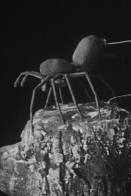 To Demonstrate How Spiders Fly official trailer poster