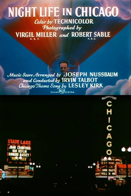 Night Life in Chicago official trailer poster
