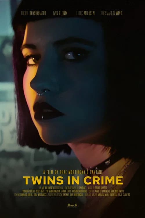 Twins in Crime official trailer poster