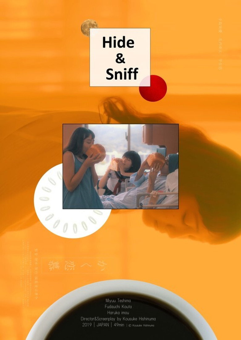 Hide & Sniff background