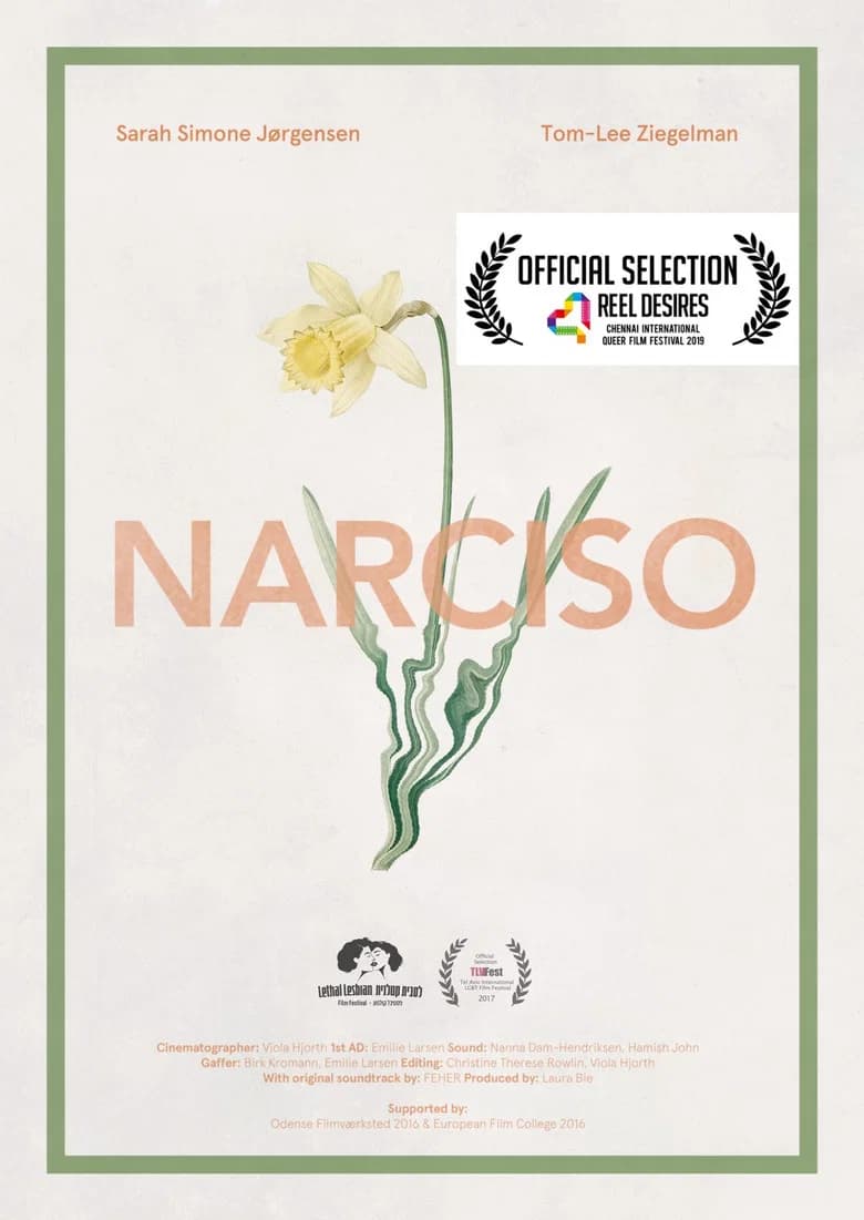 Narciso background