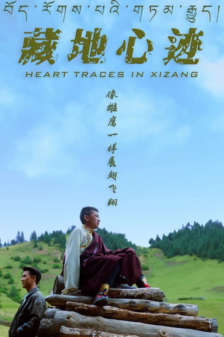 藏地心迹 background
