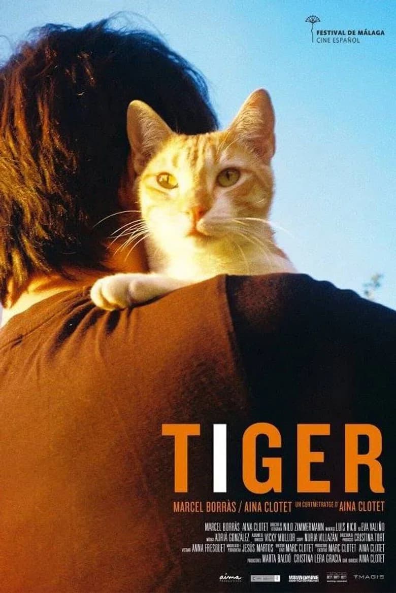 Tiger background