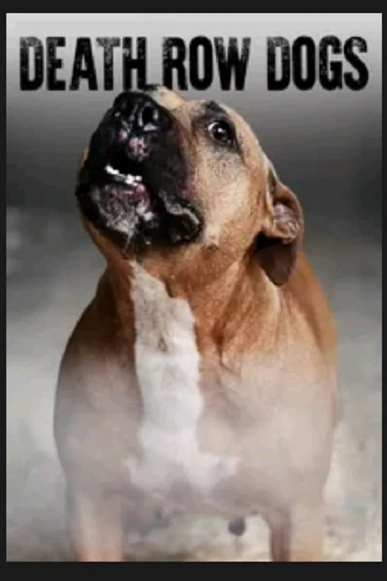 Death Row Dogs background