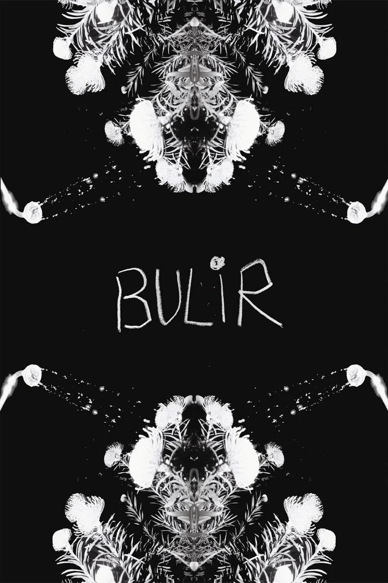 BULIR background