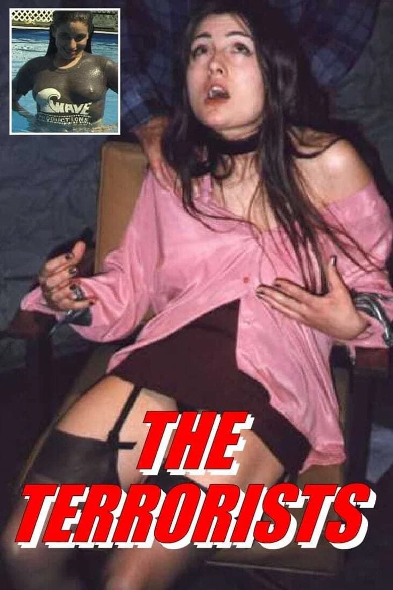 The Terrorists background