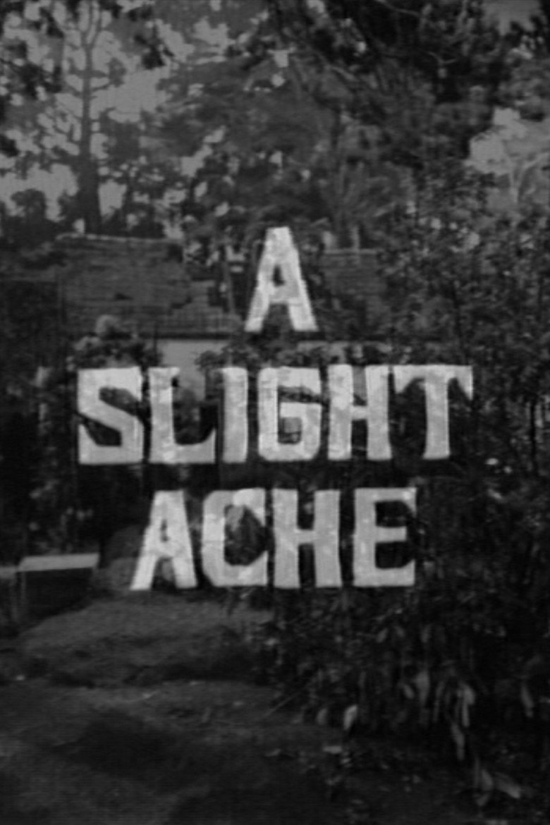 A Slight Ache background